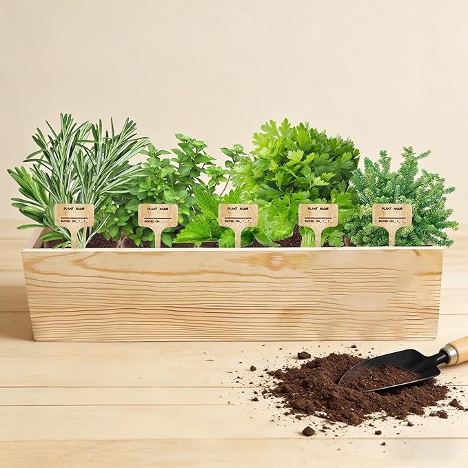 Indoor Herb Garden Starter Kit, 5 Seeds Growing into Basil, Parsley, Rosemary, Thyme, Mint, Including A Planter Box, Soil Discs & Planters with A Gift Box for Women