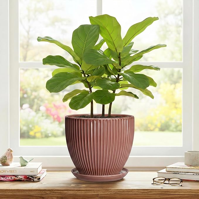8 Inch Ceramic Flower Pots, Plant Pots Indoor with Drainage Hole and Saucer, Round Flower Pot for Indoor Plants, Decorative Modern Planter, Garden House Decor, Gardening Gifts, Rust Red