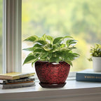 6 Inch Ceramic Pots for Plants - Indoor Plant Pots with Drainage Hole and Saucer, Decorative Planters for Outdoor Plants, Modern Planter, Living Room Decor, Gardening Gifts, Red Leopard