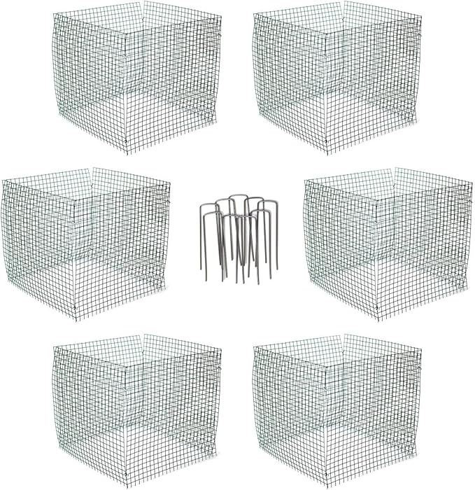6 New Small Wire Plant Protectors, 12" Square, 12" high (Vinyl Coated Rust Resistant Wire)