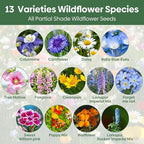 Groundio 13 Varieties Partial Shade Wildflower Seeds, Mixed Annual and Perennial Flower Seeds for Garden, Yard, Container Planting, 1 Ounce