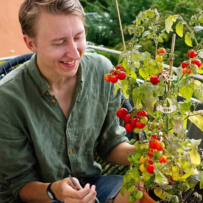 Tomato Clips for Climbing Plants 100 Pack, Plant Support Clips & Garden Clips for Vegetables Vine, Clear Reusable Plastic Plant Clips Indoor Outdoor Gardening