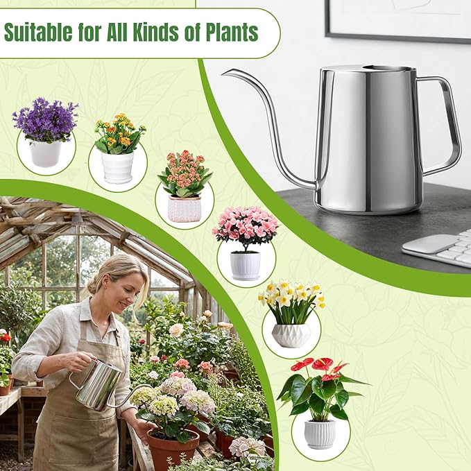 34oz/1000ml Watering Can Indoor Plants with Long Spout, Plant Watering Can for Ergonomic Handle, Rust-Resistant & Durable 304 Stainless Steel, Office & Home