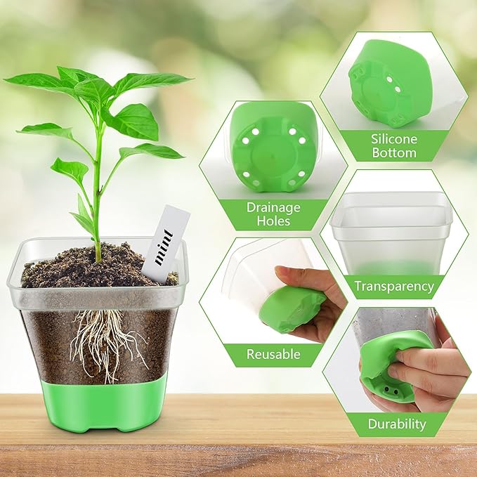 Sckee Clear Nursery Pots for Plants, 30 Packs Plastic Seed Starting Pots with Drainage Holes Plant Nursery Pots Silicone Base (Light Green, 3.1 inch with lids)