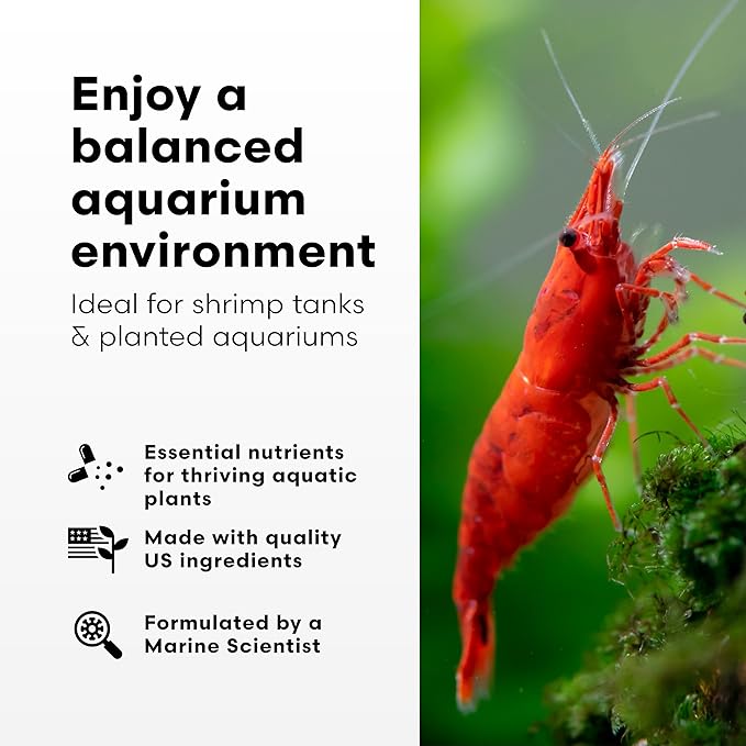 Brightwell Aquatics Shrimp FlorinMulti – Complete Plant Nutrient Supplement for Shrimp & Freshwater Aquariums – Supports Growth, Color & Health – Copper-Free, 125 ml