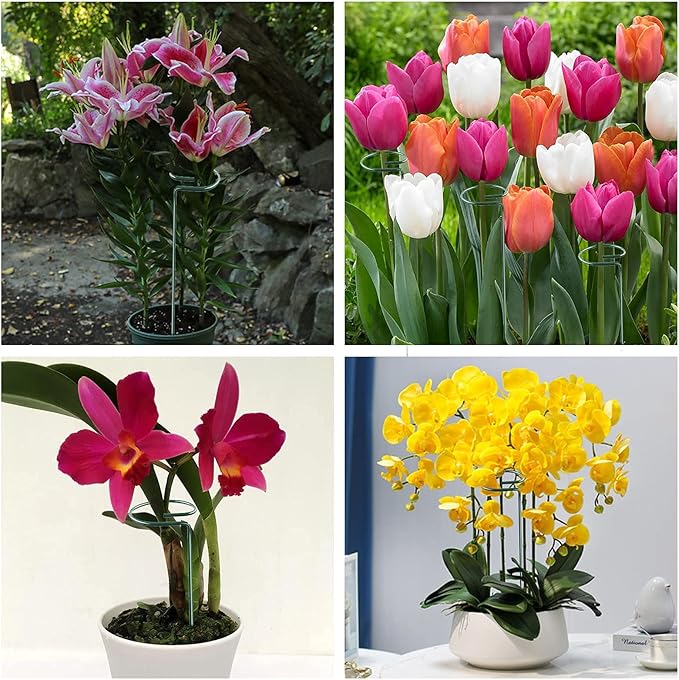 Joyhalo 12 Pack Plant Support Stakes 36 Inches, Plant Stakes, Flower Stakes with 24 Twist Ties, Garden Sticks for Plants Hibiscus, Sunflower, Red Hot Poker, Hydrangea, Tomato, Sapling Etc