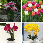 Joyhalo 12 Pack Plant Support Stakes 24 Inch, Plant Stakes, Flower Stakes with 24 Twist Ties, Garden Sticks for Plants Iris, Dahlia, Gladiolus, Amaryllis, Rose, Sunflower, Tomato, Sapling Etc