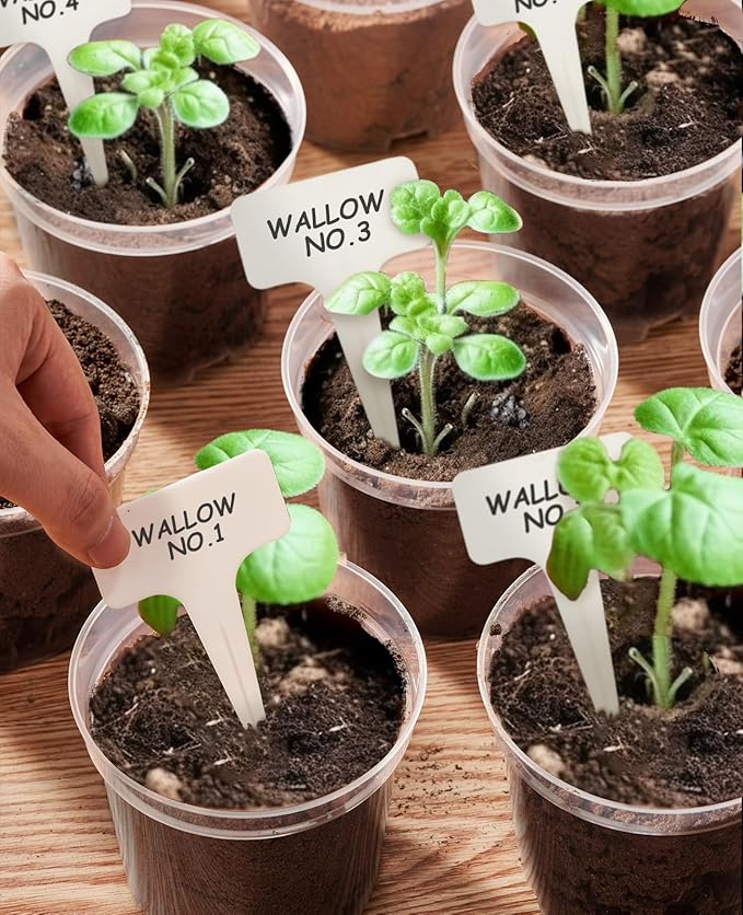 homenote Clear Nursery Pots for Plants,4 Inch Plant Pot for Planting Plastic Seedling with Drainage Holes Seed Starter Flower High Transparency with 20 Labels (60 Pack)