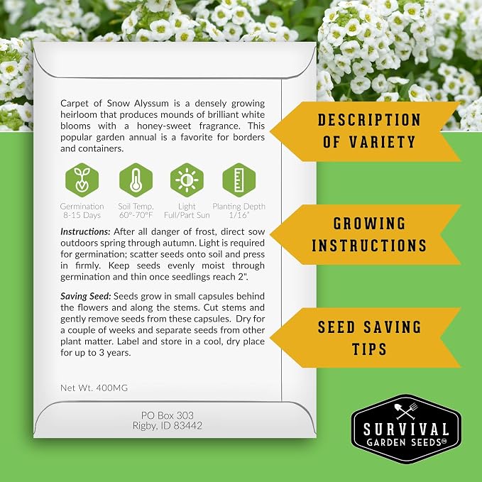 Alyssum Seeds for Planting – 2 Varieties | Purple Royal Carpet & White Carpet of Snow Sweet Alyssum – Seed to Plant Fragrant Heirloom Flowers & Ground Cover – Survival Garden Seeds