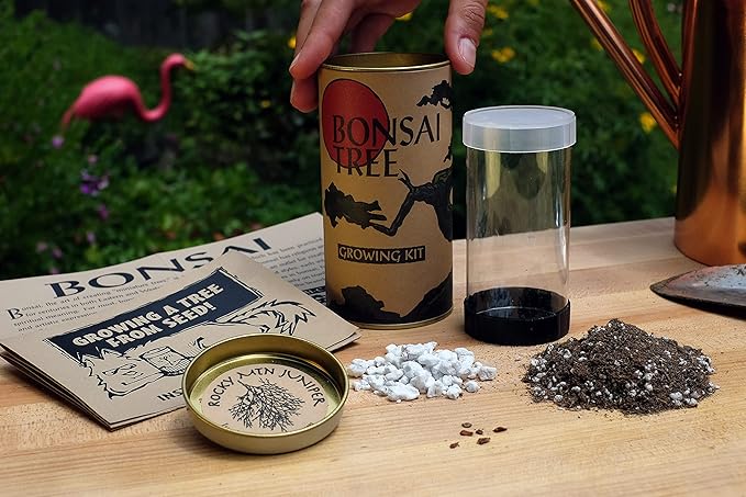 Bonsai Tree | Rocky Mountain Juniper | Seed Grow Kit | The Jonsteen Company