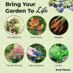 Organic Potting Mix by Perfect Plants for All Plant Types - 8qts for Indoor and Outdoor Use, Great for Veggies, Spices, and Holistic Herbs