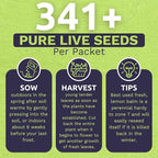 Sweet Yards Seed Co. Organic Lemon Balm – Two Seed Packets! – Approx. 682 Open Pollinated Non-GMO Herb Seeds