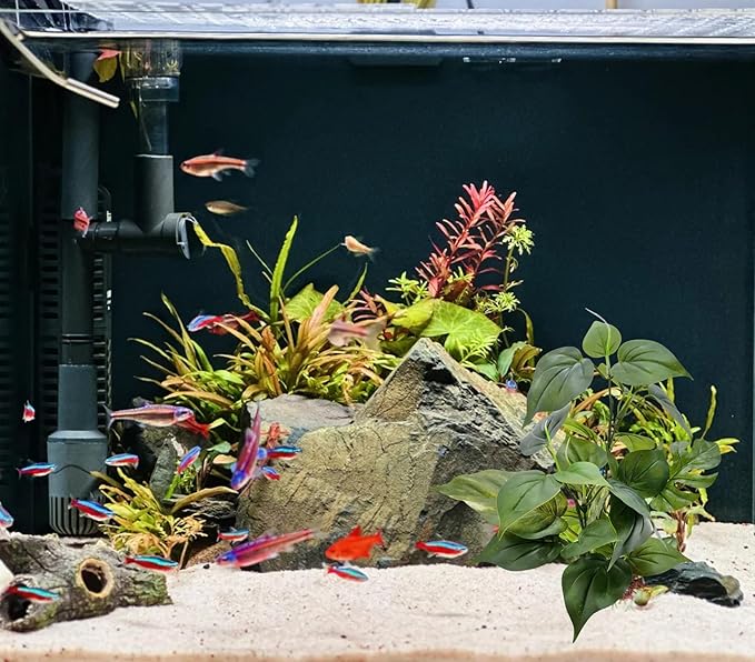 M2cbridge Fish Tank Plastic Soft Grass Artificial Betta Water Plants Decoration Goldfish Hide 12" (Tall Anubias 2pcs)