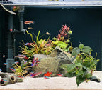 M2cbridge Fish Tank Plastic Soft Grass Artificial Betta Water Plants Decoration Goldfish Hide 12" (Tall Anubias 2pcs)