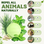 36 Pack Peppermint Rabbit Repellent, Rabbit & Deer Repellent Ball for Plant Yard Garden Outdoor, Rabbits Deterrent for Outdoor, Keep Deers and Rabbits Out Natural Ingredients Pet Safe