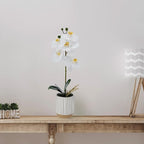 Mikasa Artificial Orchid in Pot, Real Touch Phalaenopsis Orchid, Cream Glaze Ceramic Pot, 16-Inch Single Branch, White/Yellow