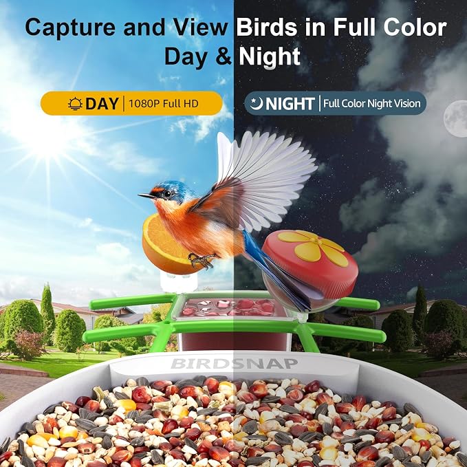 birdsnap® PAV-Bird Feeder with Camera,2K HD with 64GB Card, AI Identify Smart Bird House Cam Solar Panel,Live Stream,Motion Detection,Auto Record Video for Backyard Outdoors,Ideal Gift for Bird Lover