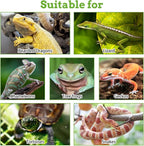 PINVNBY 2 Pack Reptile Plants Terrarium Hanging Fake Vines with Suction Cup Artificial Leaves for Bearded Dragons Lizards Geckos Snake Hermit Crab (Purple and Green)
