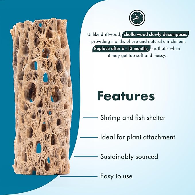 SubstrateSource Natural Cholla Wood - Driftwood for Aquariums, Air Plant Base, Hermit Crab and Freshwater Shrimp Hideout, Fish Tank Decoration, Chinchilla Chews, Reptile Habitat Wood - 4 Inch, 1pc