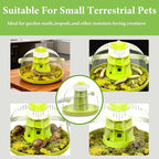 Snail Terrarium Kit Insect Enclosure Bug Terrarium Observation Container Praying Mantis Habitat Breeding Box Micro Habitat Starter Kit for Beetles Spider Small Reptile