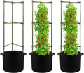 GENMOUS Tomato Cages with Grow Bags - 48 Inch Tomato Trellis for Raised Garden Bed, 3-Pack Tomato Plant Support, with 10 Gallon Plant Grow Bags, Reusable and Height Adjustable