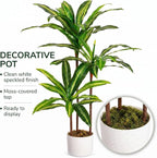 3.3FT Artificial Dracaena Tree in Pot, Evergreen Artificial Dracaena Marginata Plants Indoor, Decorative Potted Floor Plant for Living Room Porch Office Decor
