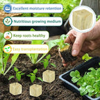 Legigo 1.5 Inch Rockwool Cubes for Hydroponics Seed Starter, Rock Wool Planting Cubes Hydroponic Garden Grow Plugs for Soilless Cultivation Plants Cutting Germination Clone(4 Sheet, 196 Plugs)