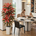 Artificial Dracaena Tree：6FT Faux Silk Tropical Yucca Floor Trees Realistic Fake Green Plant with Natural Wood Trunk & Lifelike Leaves for Home Office Decor Indoor & Outdoor (6FT,1-Pack,White)