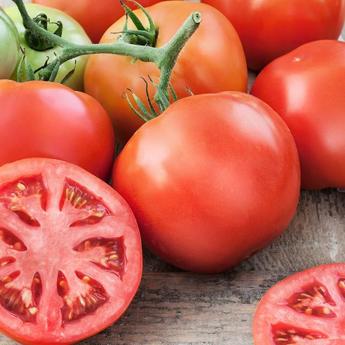 Bonnie Plants Big Beef Tomato 19.3 oz. 4-pack