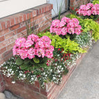 CITYES 3 Pcs Artificial Geraniums Flowers Silk Geraniums for Outdoors UV Resistant Pink Artificial Geranium Bush Faux Flowers Plant for Planter Garden Home Decor Indoor Patio Vase Table Centerpiece