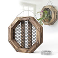 10.5 Inches Staghorn Fern Mounting Kit Orchid Mounting Wood Hanging Plant Frame Wall Planter Plant Holder Basket for Orchids Staghorn Fern Tropical Plants (265x265x60mm)