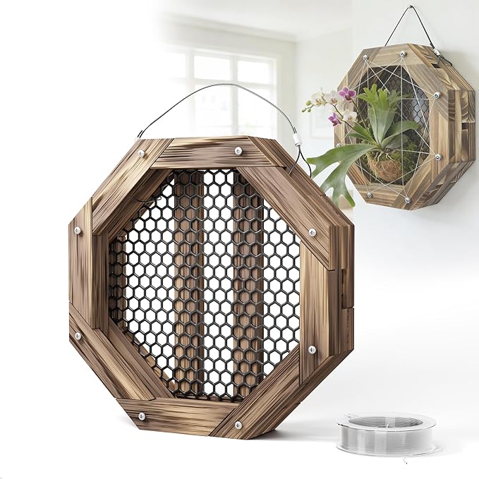 10.5 Inches Staghorn Fern Mounting Kit Orchid Mounting Wood Hanging Plant Frame Wall Planter Plant Holder Basket for Orchids Staghorn Fern Tropical Plants (265x265x60mm)