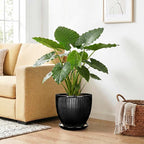 10 Inch Planter, Ceramic Plant Pots with Drainage Hole and Saucer, Large Decorative Planters for Indoor Plants, Modern Plant Pot, Round Flower Pot, House Bedroom Decor, Black