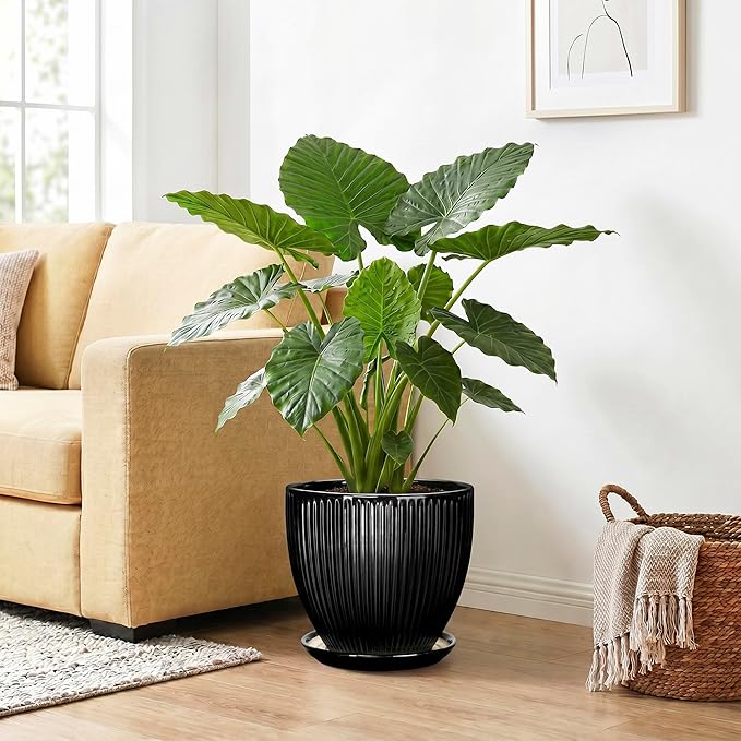 10 Inch Planter, Ceramic Plant Pots with Drainage Hole and Saucer, Large Decorative Planters for Indoor Plants, Modern Plant Pot, Round Flower Pot, House Bedroom Decor, Black