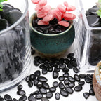 Black Rocks for Plants. Polished Decorative Pebbles. 1/5 Inch 10 lbs. for Garden, Landscaping, Vase fillers, Succulents, pots (Mini, Black, 10)