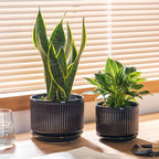 Navy Blue Ceramic Plant Pots Set of 3, 4.3+5.5+6.7 Inch Indoor Flower Pots with Drainage Hole & Saucer & Hole Mesh Pads, Striped Decorative Planter Set for Indoor Plants, Gardening Pots & Accessories