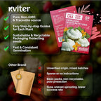 KVITER 50 White Patty Pan Squash Seeds (Cucurbita Pepo) – Scallops Bush Summer Squash Seed Packets for Vegetable Garden – Non GMO Heirloom Vegetable Seeds for Planting Outdoors, Home Garden