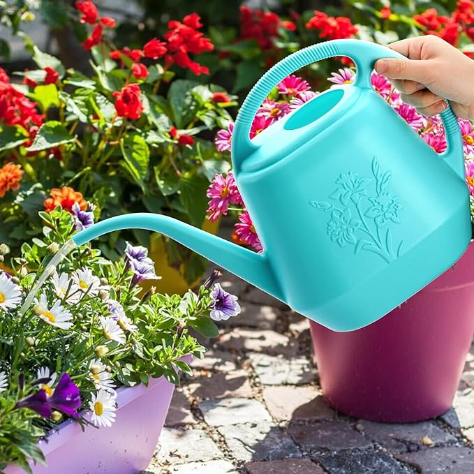 Fasmov 1-Gallon Plastic Watering Can with Comfortable Handle, Garden Watering Cans Long Spout for Indoor Outdoor Watering Plants, Bright Blue