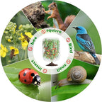 Garden Mesh Netting with Drawstring,Plants Cover Protection from Anti Birds,Bugs,Cicadas,and Insects-Pest Barrier Bag for Blueberry Bushes,Citrus,Tomatoes,Vegetables,Fruit Tree and Orange