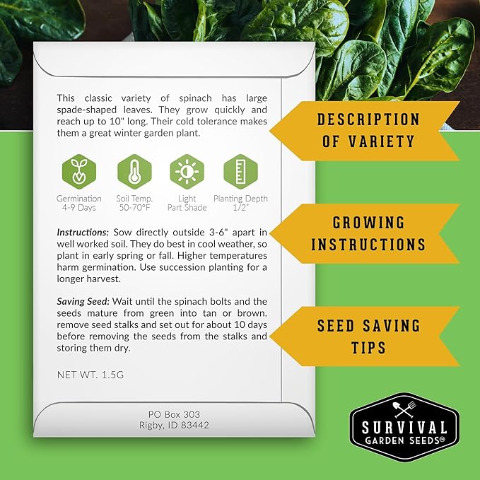 Viroflay Spinach Seeds for Planting – Giant Heirloom Variety with Tender Sweet 10" Leaves – Fast Growing Cold Tolerant Leafy Green – Survival Garden Seeds (2 Packs)
