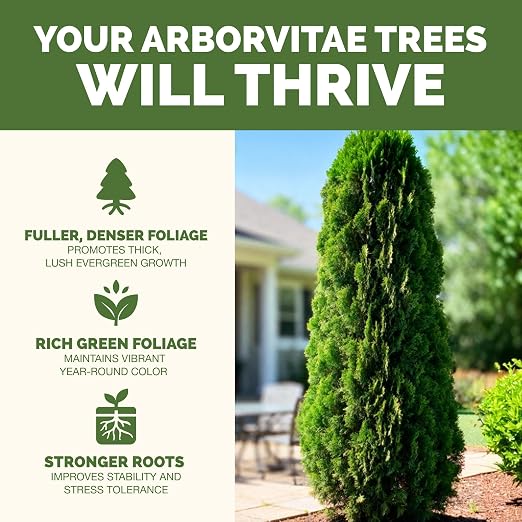 Arborvitae Tree Fertilizer – Liquid Plant Food for Fuller Green Foliage, Faster Growth & Stronger Root Development, 1 Gallon