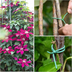 YDSL 88 feet Garden Flexible Wire, Soft Twist Plant Ties for Plant Vines and Office Organization (Diameter - 3MM)