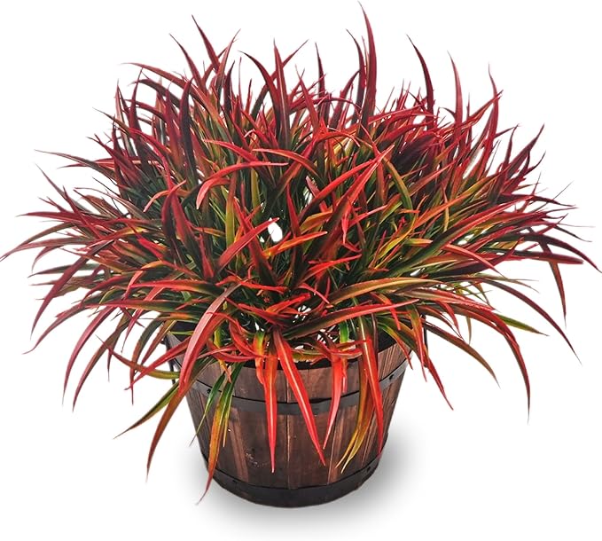 12 Bundles Fake Fall Outdoor Plants Artificial Grass Fall Stems Faux Plastic Fall Shrubs for Home Garden Pathway Window Box Front Porch Cemetery Fall Decor, Autumn Red
