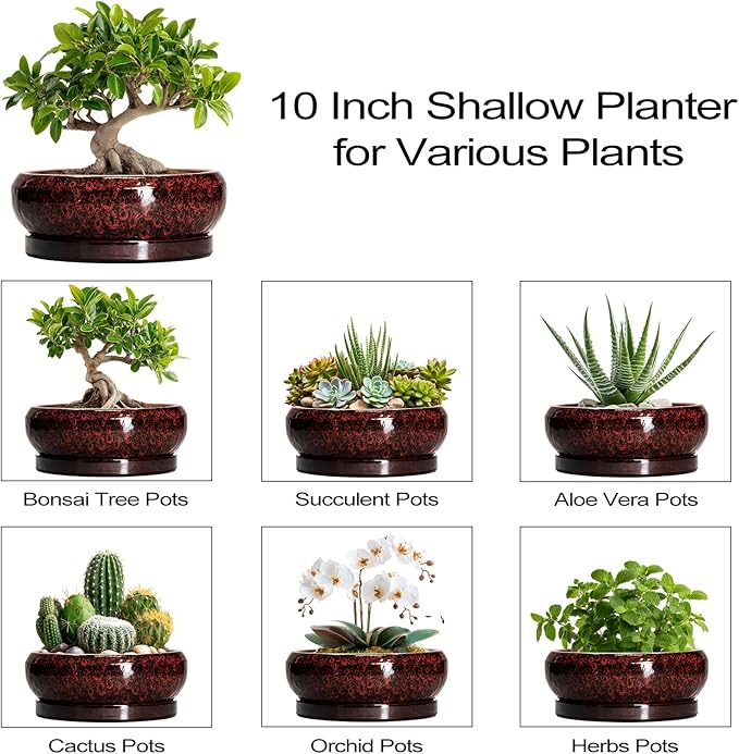 Bonsai Tree Pots - 10 Inch Ceramic Succulent Planters for Indoor Outdoor, Bonsai Pots with Drainage Hole and Saucer, Shallow Round Planter, Planter Bowl, Patio Decor, Gifts for Women, Red
