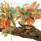 QUOZUO 2 Pack Reptile Plants, Artificial Hanging Plants with Suction Cups, Habitat Decor Plastic Vines Decorations for Bearded Dragons Lizards Snake Geckos Frogs -Gold