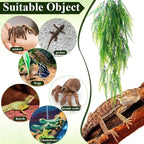Suncalla Reptile Plants Terrarium Hanging Plants Vines Boston Climbing Terrarium Plant with Suction Cup for Bearded Dragons Lizards Crested Gecko Snake Crab Tank(Tri Color Series,3 Colors)