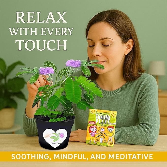 TickleMe Plant Seeds (2 Pack) – Grow the Touch-Sensitive Plant that Closes When Touched – Fun Easter Basket Stuffer – Easy Indoor Science Activity for Kids & Adults