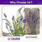 2 Bundles Artificial Lavender Flower Artificial Greenery Stems Fake Lavender Flower Plant Real Touch Silk Faux Plants Branches for Indoor Porch Patio Greenery Farmhouse Garden Office Decor (Type 1)