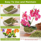 Legigo 4.4LBS Sphagnum Moss for Plants, 80QT Natural Orchid Moss Potting Mix Dired, Green Forest Plant Moss for Orchid Repotting Carnivorous Succulents Indoor Potted Plants Gardening and Reptiles