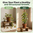 4 Pack 16" Moss Pole Monstera Plant Support - Stackable up to 48" - Plant Stakes for Indoor Climbing Plants Potted - Tall Coco Coir Pole Sticks & Accessories for Monstera, Pothos & Philodendron